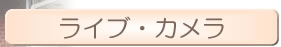 CuJŌO̕i